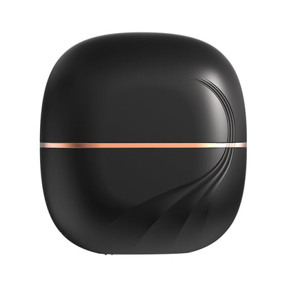 Electric mini hair straightener